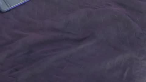 Aura online show from February 28, 2:09 pm