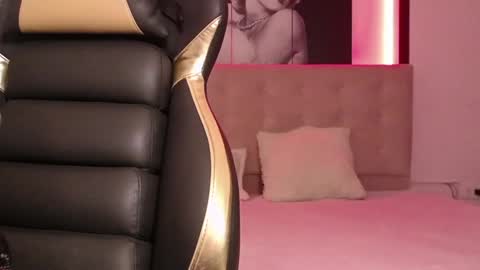 _kitten_1 online show from January 29, 12:56 pm