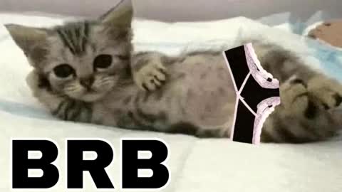 miko3 online show from December 21, 11:52 pm