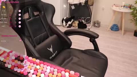 Alis online show from December 23, 9:02 am