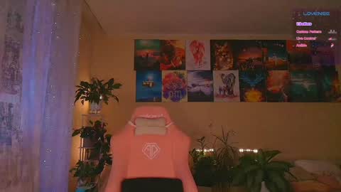 Enni online show from November 4, 7:46 am