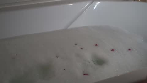 May online show from January 18, 6:37 pm