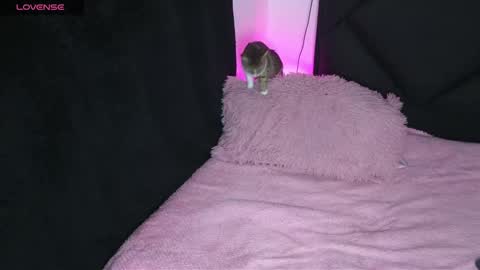 alahia online show from January 16, 1:58 am