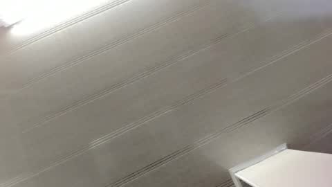 Maeve  online show from December 29, 10:45 am