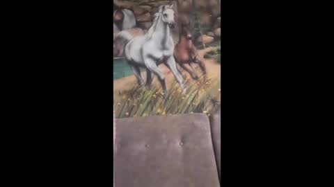 albina online show from February 13, 9:44 am