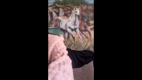 albina online show from February 25, 6:01 am