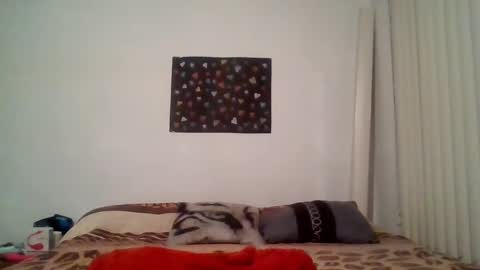 Alessandra Conrado online show from February 23, 8:44 am