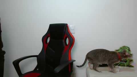 Alex Parker online show from October 1, 12:48 am