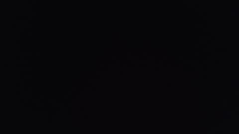     online show from December 5, 7:15 pm