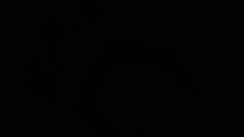     online show from March 26, 7:37 pm