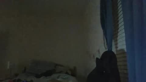 Snapshot of ally12334 chatting on October 25, 2:30 am ally12334 online show from October 25, 2:30 am