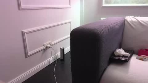 alyarei online show from November 3, 12:14 am