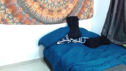 Amber  online show from October 25, 4:36 pm