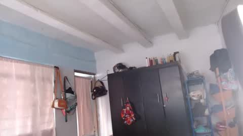 amelia  online show from December 8, 1:03 pm