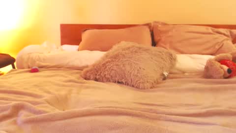 Andra online show from February 10, 11:24 am