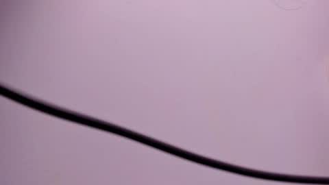 angel hardy online show from October 31, 4:44 pm