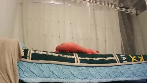 anna_ellen22 online show from November 23, 10:55 pm