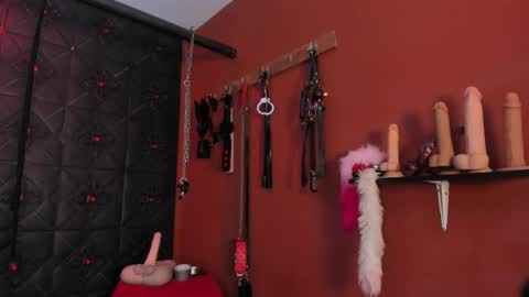  Annavi  online show from January 9, 8:13 pm