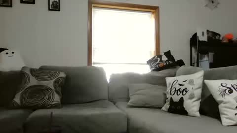 anne online show from October 28, 2:12 pm