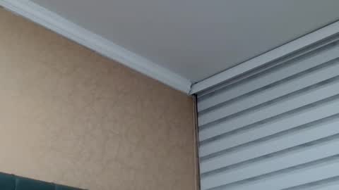       online show from January 15, 1:55 am