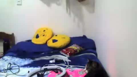 1AngiieMora999 online show from July 3, 2:28 am