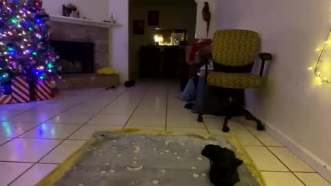 AnnaApril420 online show from December 25, 1:10 am