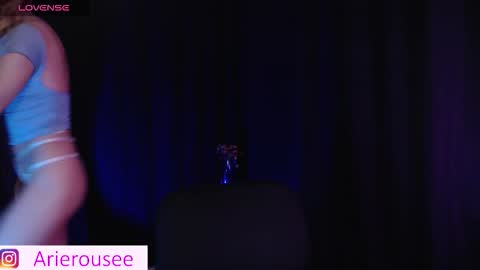 Snapshot of arie_rousee_sub chatting on October 1, 12:15 am ARIE online show from October 1, 12:15 am
