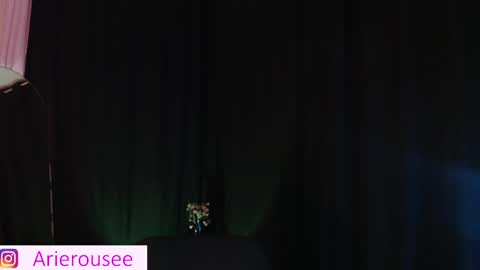 Snapshot of arie_rousee_sub chatting on September 11, 2:34 am ARIE online show from September 11, 2:34 am
