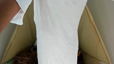 A R I   online show from October 12, 12:07 pm