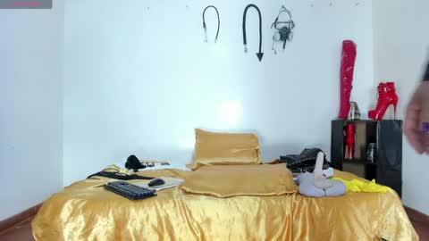 Aurora online show from April 16, 11:43 am