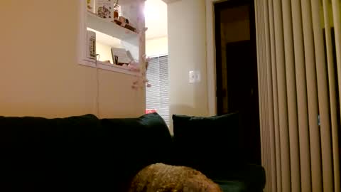 Ava Ashley online show from June 7, 2:51 am