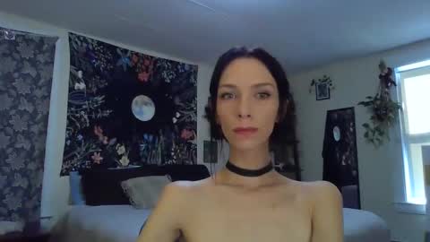 Snapshot of babiifern chatting on October 17, 2:20 pm Fern Browning online show from October 17, 2:20 pm