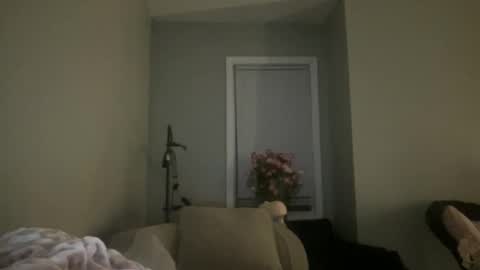 babyaves online show from January 19, 2:08 am