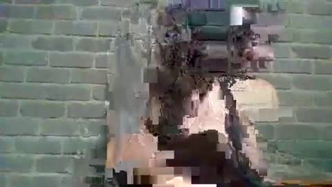 Chaterlain online show from January 10, 11:54 am