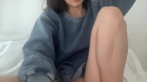 bambidxon online show from February 13, 2:40 pm