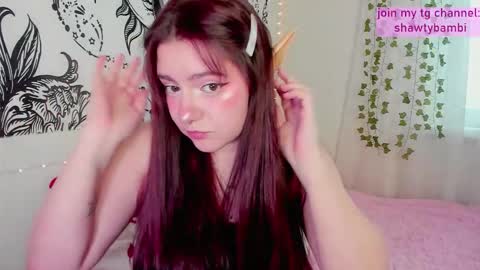 May 3 online show from February 13, 8:38 am