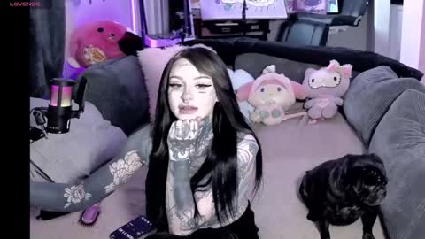 bambitatted online show from April 22, 6:49 pm