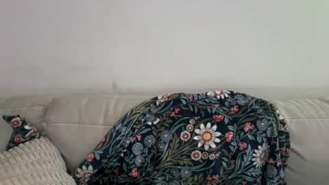 beijadense online show from July 4, 4:36 pm