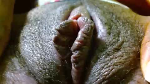 Bethany Wilson online show from November 21, 4:42 pm