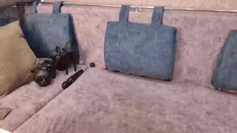 Blackcat1422 online show from March 9, 10:41 am