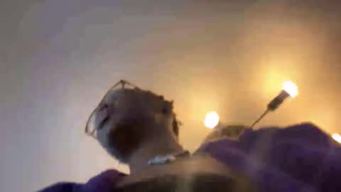 blkalthottie online show from January 9, 2:10 pm