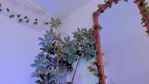   online show from March 19, 12:26 am