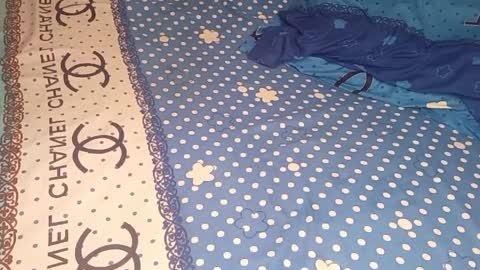 bossetassy online show from April 9, 4:01 pm