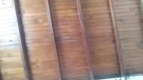 brithany online show from February 26, 4:28 pm