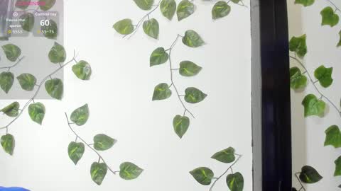 brittanyy20 online show from November 25, 9:22 am