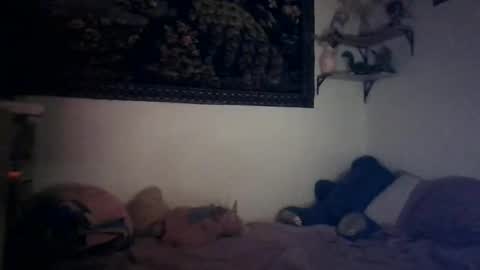 bunn13cat online show from March 17, 12:53 pm