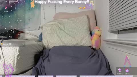 Tokki  bunny  online show from December 12, 2:37 am