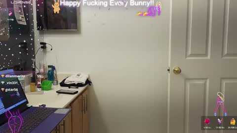 Tokki  bunny  online show from December 29, 11:08 pm