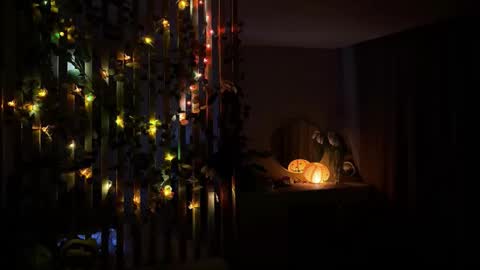 bunnypure online show from January 15, 10:54 am