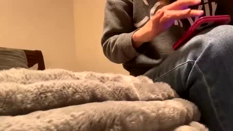 calishop1 online show from December 11, 1:58 am